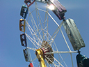 Fairs and Exhibitions